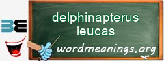 WordMeaning blackboard for delphinapterus leucas